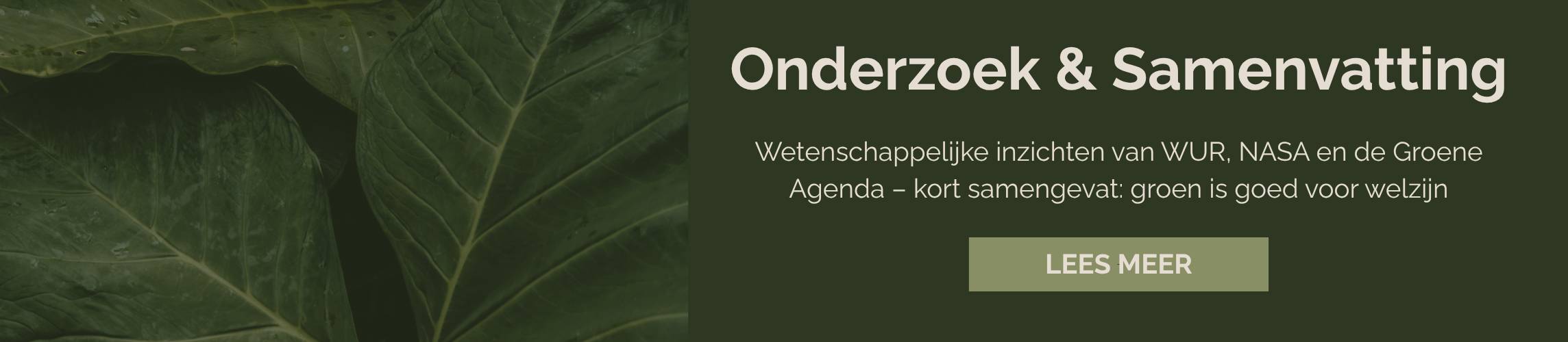verzorgingsgids orchidee NL