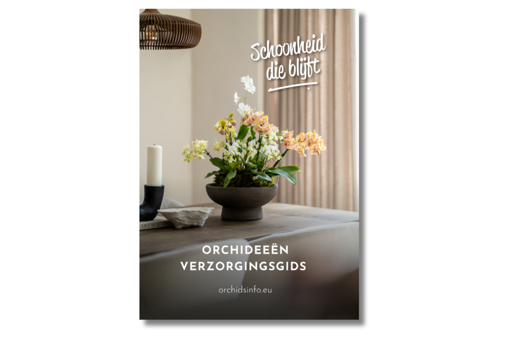verzorgingsgids orchidee NL